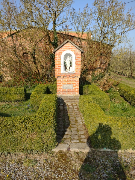 IMG_20220326_091231286