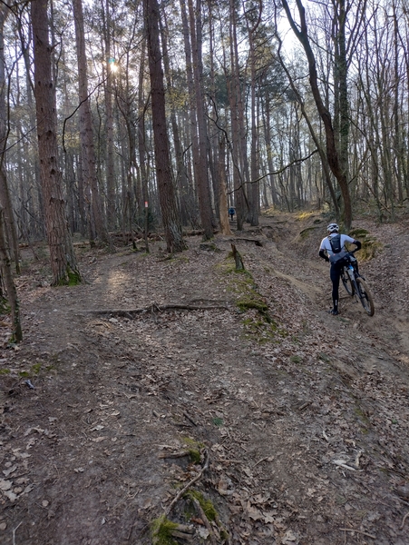 IMG_20220324_095823514_HDR