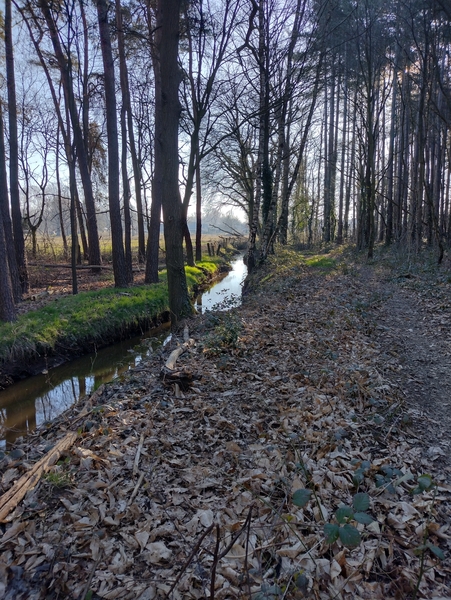 IMG_20220319_083942646_HDR