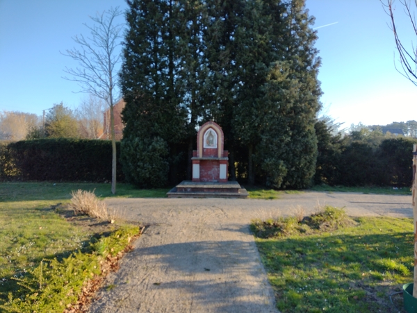 IMG_20220319_081009529