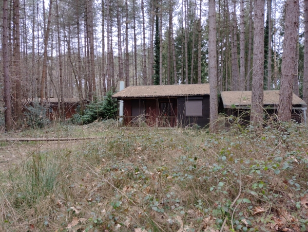 IMG_20220317_093839118