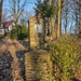 IMG_20220310_081136850_HDR