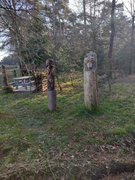 IMG_20220302_095255642_HDR