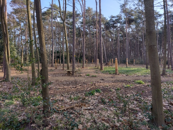 IMG_20220302_095349787_HDR