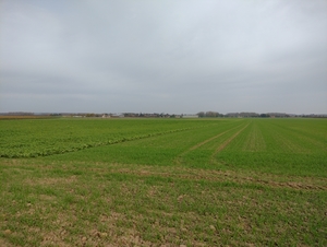 IMG_20221031_114737266