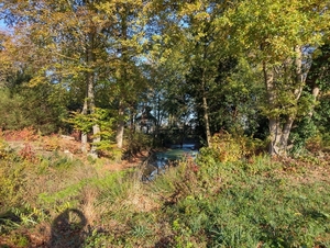 IMG_20221114_101554814_HDR