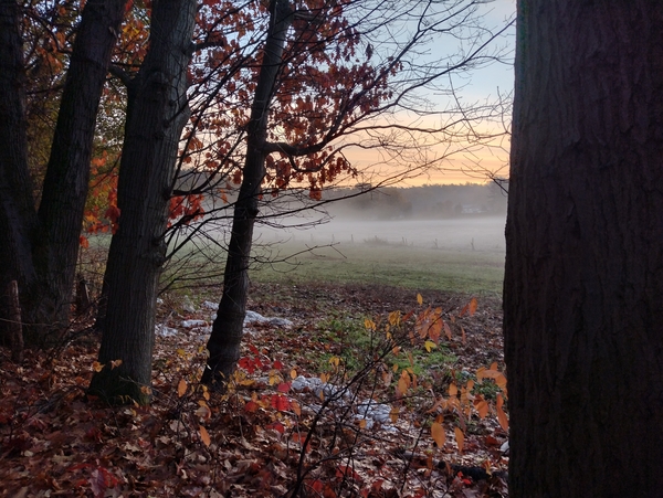 IMG_20221126_080851500_HDR