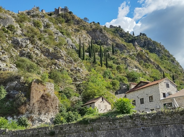 IMG_20220920_150430808_HDR