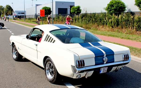 IMG_8559_Ford-Mustang_wit-blauw_O-AZT-806