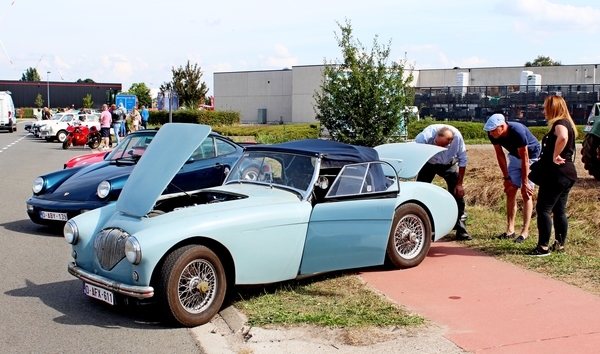 IMG_8595_1953-1956.-Austin-Healey-100_te-koop_blauw&half-klaar_O-