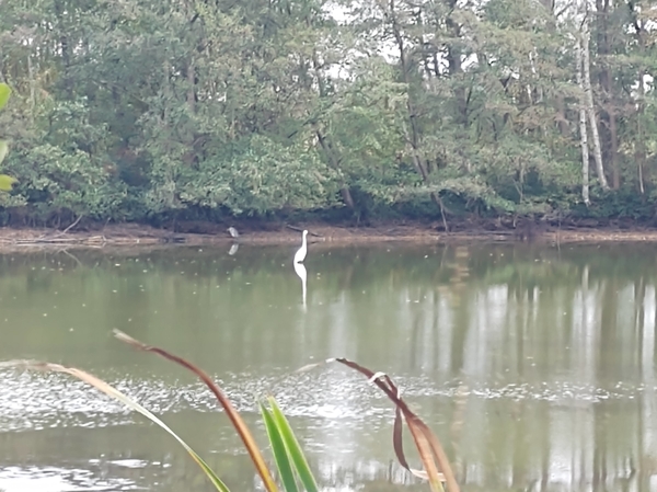 IMG_20221103_101926841