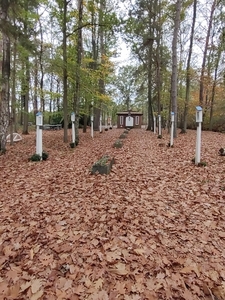 IMG_20221103_103856378