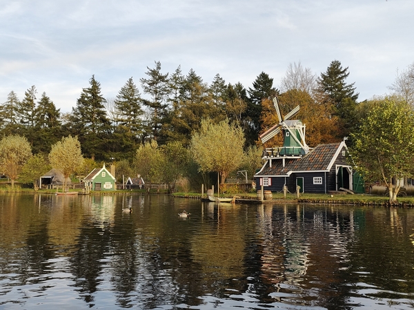 IMG_20221111_154959909