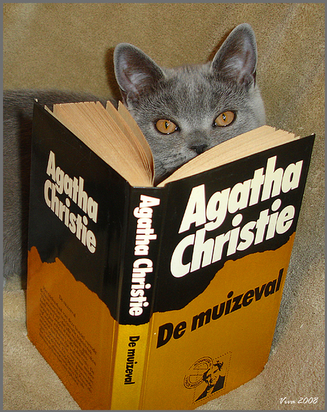 Agatha Christie; kat; poes; Britse korthaar; boek