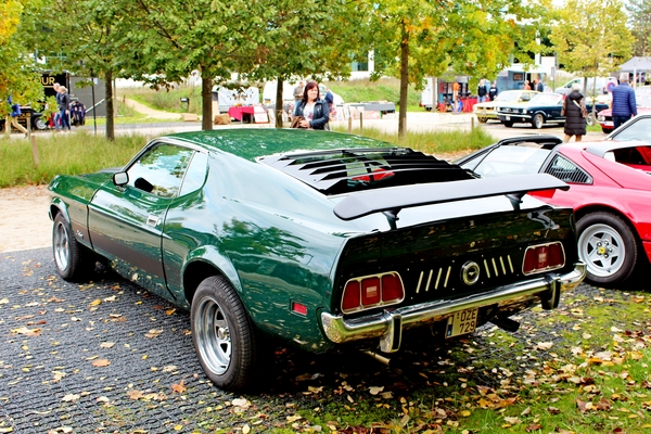 32_IMG_0784_Ford-Mustang-Sportsroof_1971-72_groen_1-OZE-729