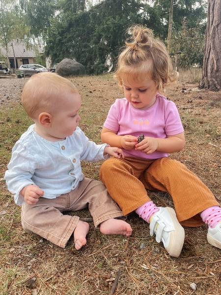 b8dd1a2b-aa65-452b-a1e8-5ed2db461f4d