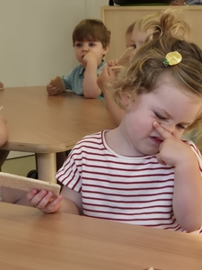 ad23f711-7f16-4a1a-bfbf-e7d9e4a2d903