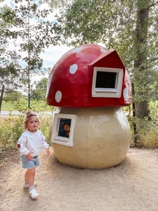 150e7f5c-cb88-46df-a6c6-27424ee500ec