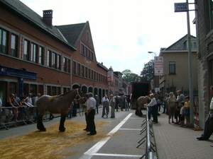 E Jaarmarkt (6)