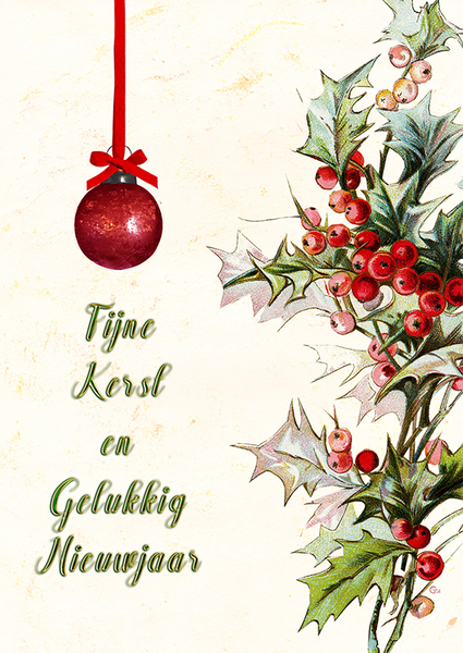 gaviotaKerst22 23 18