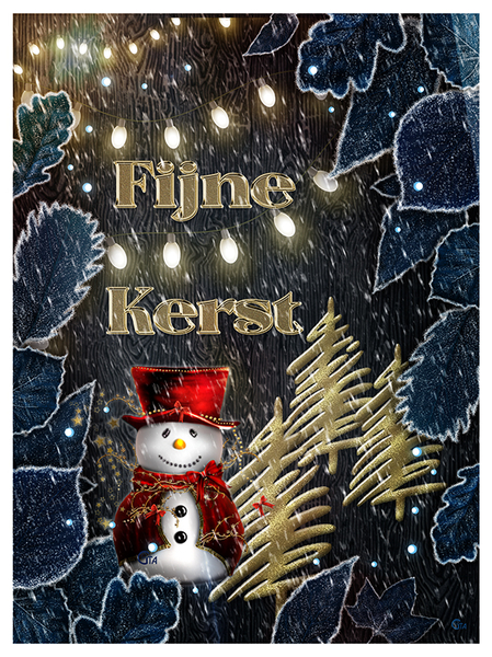 gaviotaKerst22 23 24