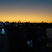 DSC01479