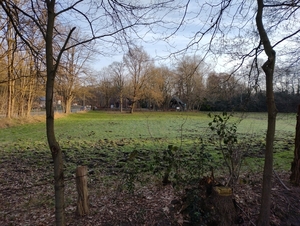 IMG_20230209_090641986