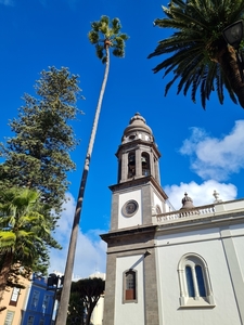 2023_02_08__10_36_20_Intersoc2023_Carine Bernaert_3587