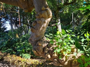 2023_02_12__10_41_41_Intersoc2023_Carine Bernaert_3193