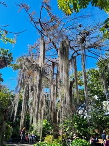 2023_02_12__10_46_42_Intersoc2023_Carine Bernaert_3544