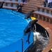 2023_02_12__16_34_07_TF Loro Parque_Vera Vandenbulcke_134