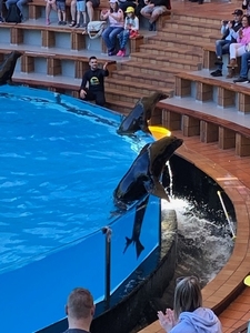 2023_02_12__16_34_07_TF Loro Parque_Vera Vandenbulcke_134