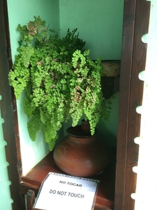 2023_02_09__10_21_28_GC Arucas_Hugo Bieseman_2079