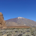 2023_02_13__13_43_04_TF Teide Parque National_Carlos_5264
