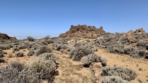 2023_02_13__15_00_33_TF Teide Parque National_Carlos_4275