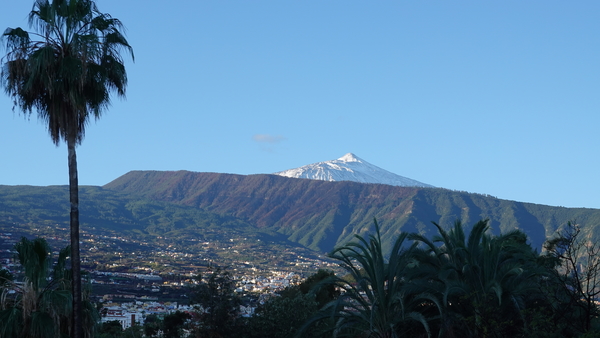 2023_02_12__09_37_10_Intersoc2023_Carlos_4462