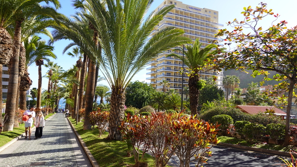 2023_02_12__11_30_03_Intersoc2023_Carlos_9368