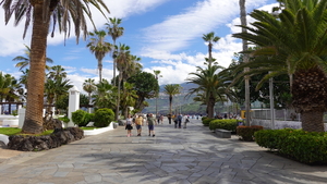 2023_02_12__13_47_16_Intersoc2023_Carlos_6667