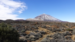 2023_02_12__14_58_43_LG La Gomera_Carlos_2600
