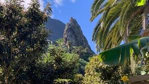 2023_02_12__14_58_43_LG La Gomera_Carlos_2633