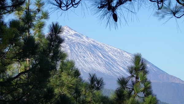 2023_02_12__14_58_43_LG La Gomera_Carlos_3054