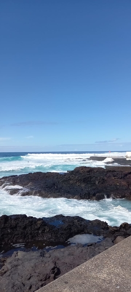 2023_02_12__20_46_39_TF  Intersoc2023_Gerda_122