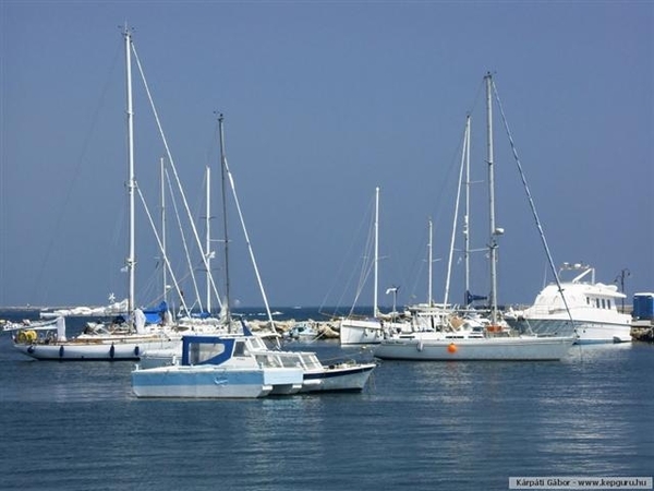 Cyprus 44 (Small)