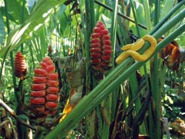 Costa Rica 21 (Small)