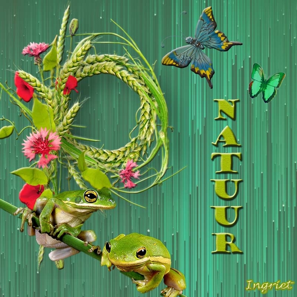 ingriet