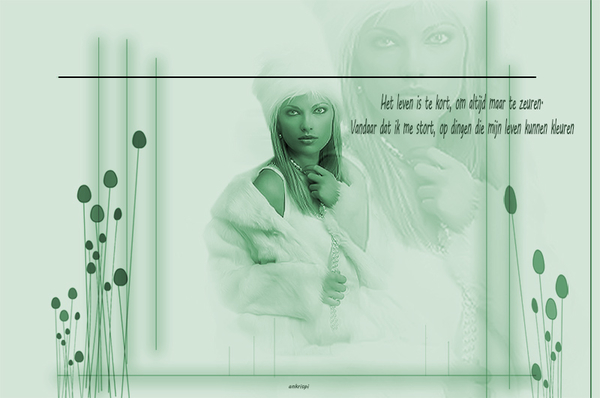 ankrispi project groen