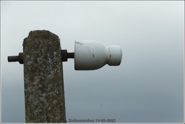 Galmaarden  19-03-23 (2)