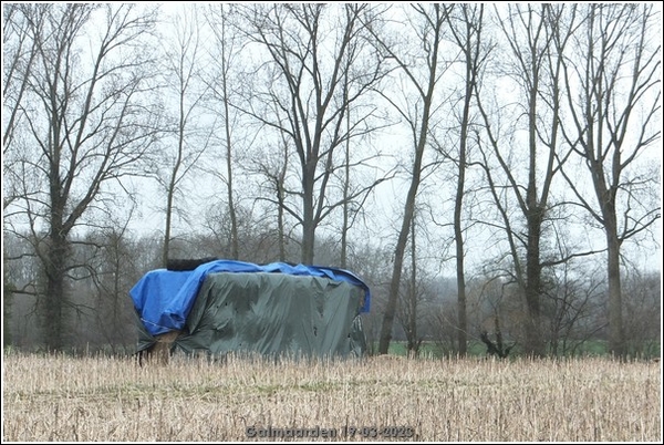 Galmaarden  19-03-23 (10)