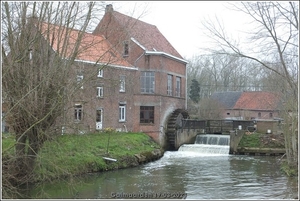 Galmaarden  19-03-23 (16)