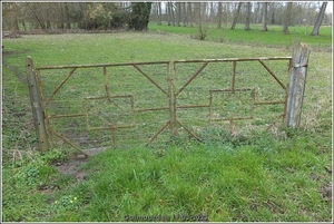 Galmaarden  19-03-23 (18)